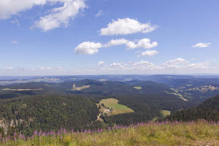 Blick vom Feldberg auf den Raimartihof High Res 5411 [Copyright: Hochschwarzwald.de]