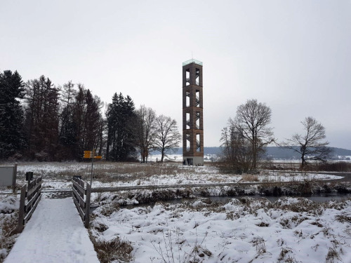 Der Bannwaldturm, eingebettet in die winterliche Riedlandschaft.