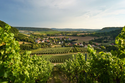 Weinbaugemeinde Eberstadt | Weinsberger Tal | HeilbronnerLand