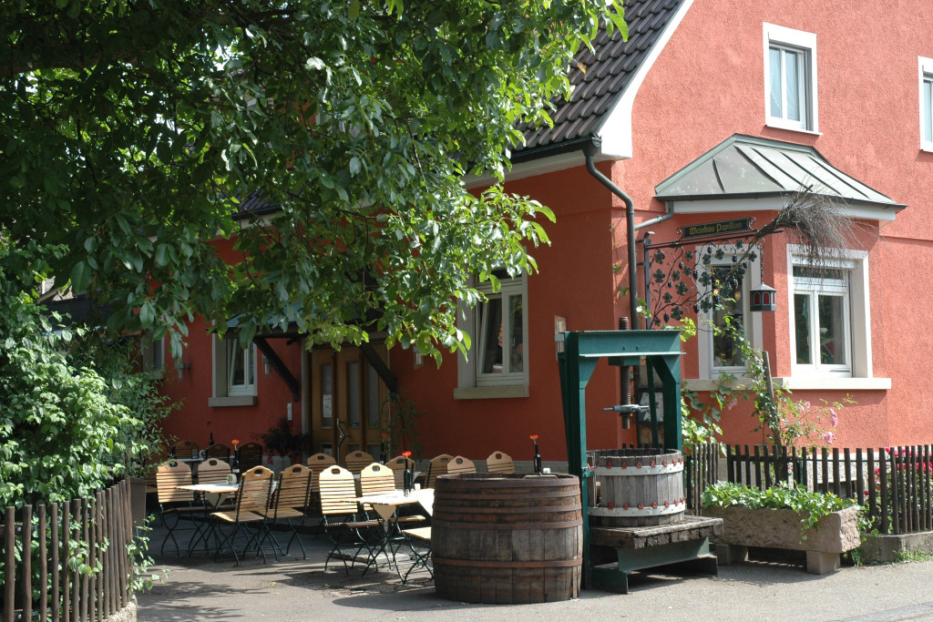 Weinbau Pavillon | Gundelsheim | HeilbronnerLand
