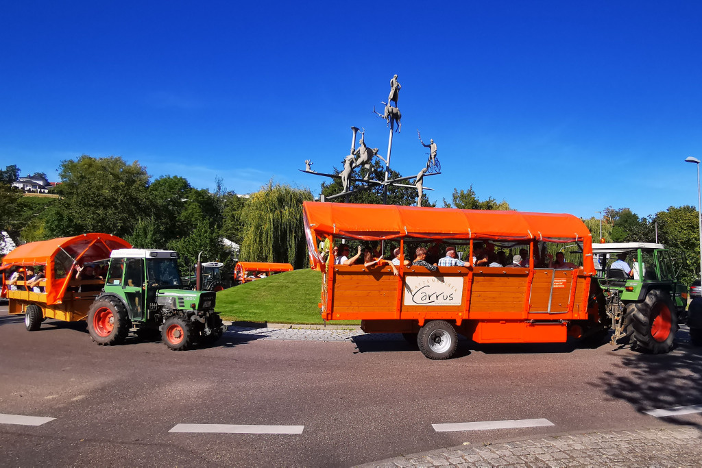 Katzenbeißer Carrus | Planwagen- und Weinbergrundfahrt | Lauffen am Neckar
