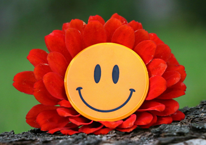 smiley 1539196 1280 [Copyright: Pixabay]